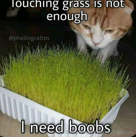 phat whale Gratis OnlyFans Inhalte