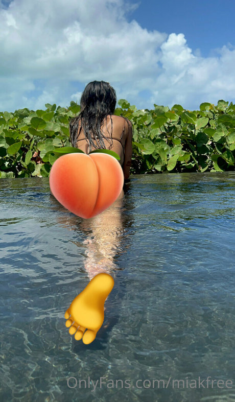 miakfree OnlyFans Pornografie