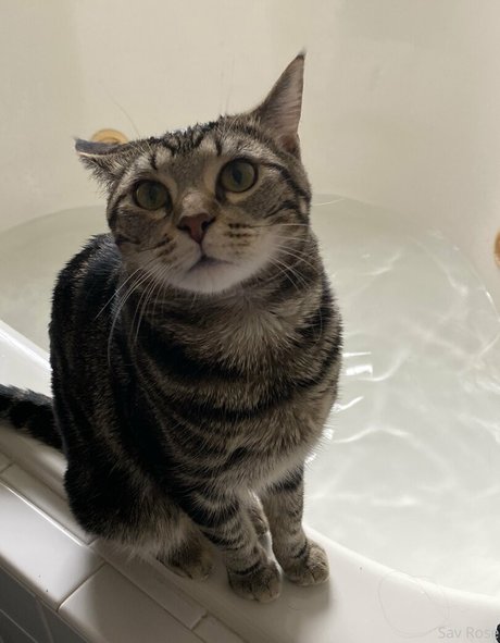 gothic-mädchen-onlyfans kostenlos XXX Album