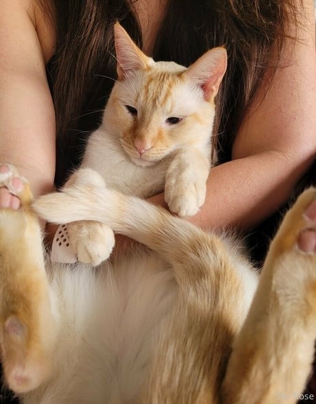 savanahroses Sexy OnlyFans