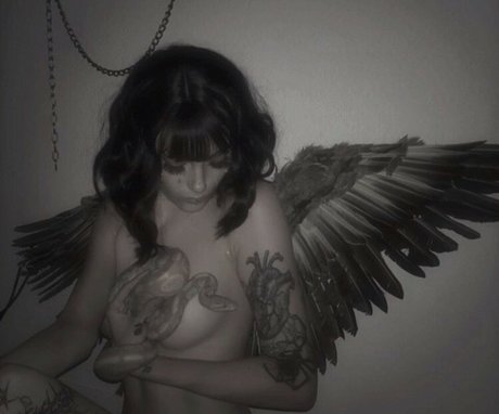 Fleshf1y OnlyFans-Bilder