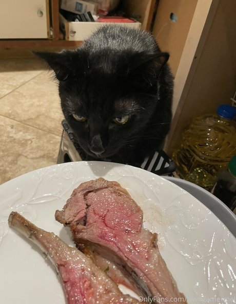 lewdgamermel OnlyFans Nacktbilder geleakt