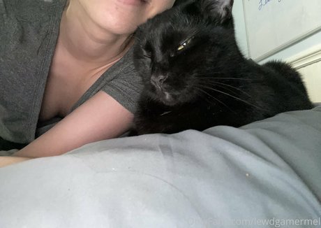 bbw facesitting nur fans Pornografie Update