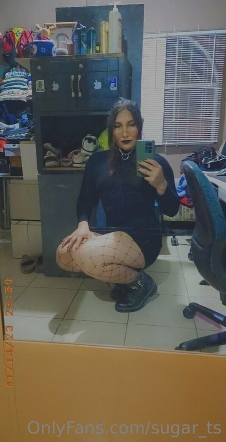 sugar ts XXX OnlyFans