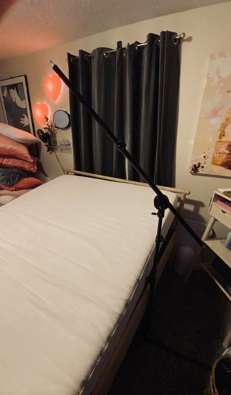 djsnarklepony OnlyFans-Creator