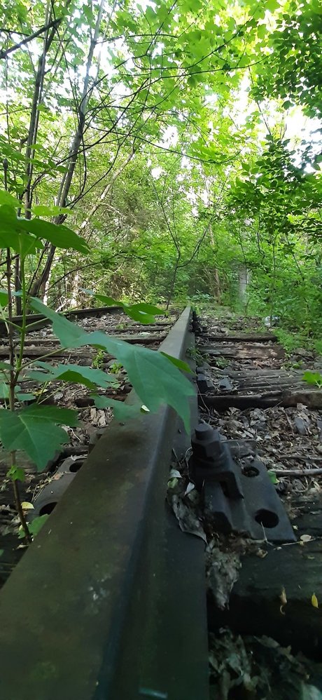 FloriS Nacktbilder geleakt OnlyFans