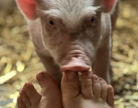 Dutchfarmgirl Nacktbilder geleakt OnlyFans Aufgedeckt