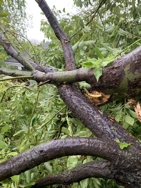 u3653168 Leaked OnlyFans Sex