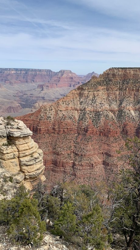 Colin Newman Leaked OnlyFans Nacktbilder