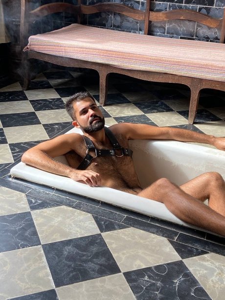 Furry Horny OnlyFans OnlyFans