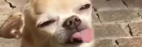 your bibi OnlyFans Fotos