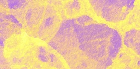 Emmy D Nacktbilder von OnlyFans