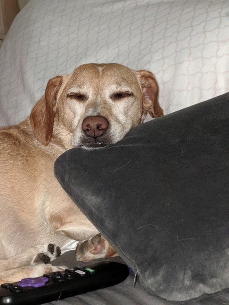 Fan Cave Kostenlose OnlyFans-Pornos