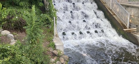 B The Fairy_ Leak von OnlyFans Pornografie