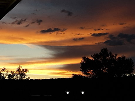 DarkWolfCarlton OnlyFans Sextape