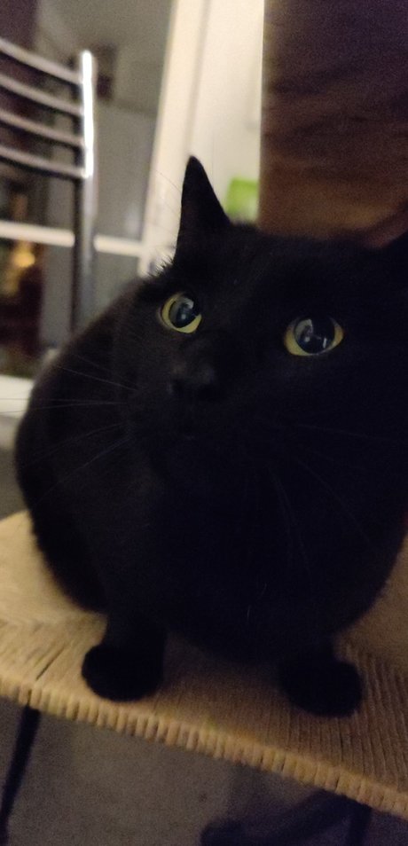 Noel Picar OnlyFans Pornografie gratis