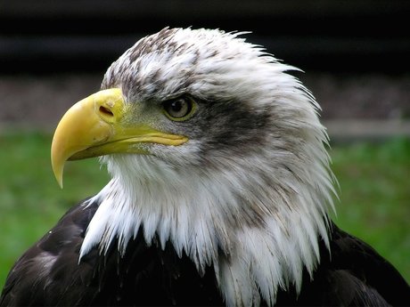 Tiffani_ Nur für Fans