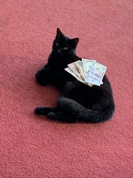 CurvyDream Nackt geleakt OnlyFans