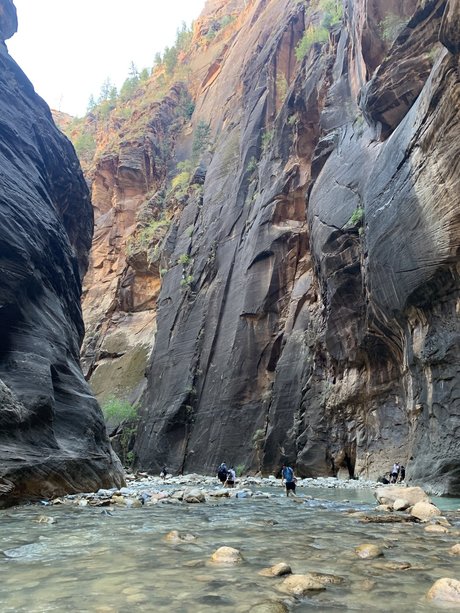 Alpacka Bilder OnlyFans