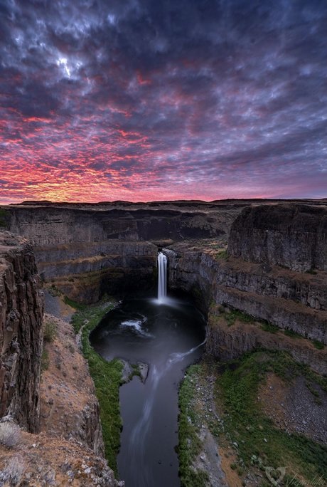 Blackpanther OnlyFans nackt