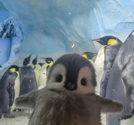 _DD_ Leaks von Nacktbildern auf OnlyFans