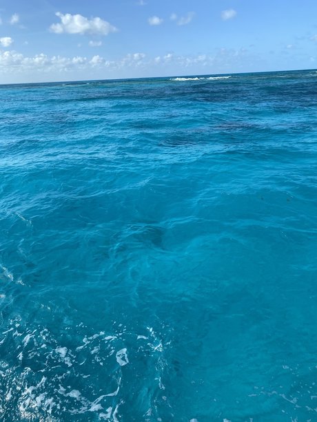 Cameron Keene Nacktbilder OnlyFans geleakt