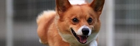 Summer Horror Party OnlyFans-Leaks