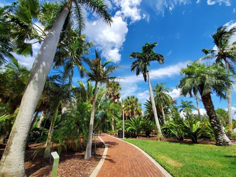 Natalie E Rose OnlyFans explizite Inhalte