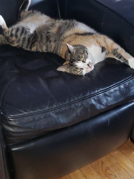 Funkeecold Nackt OnlyFans