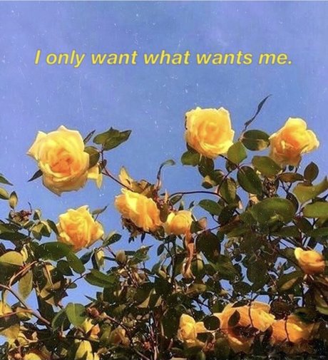 French BB OnlyFans schlank