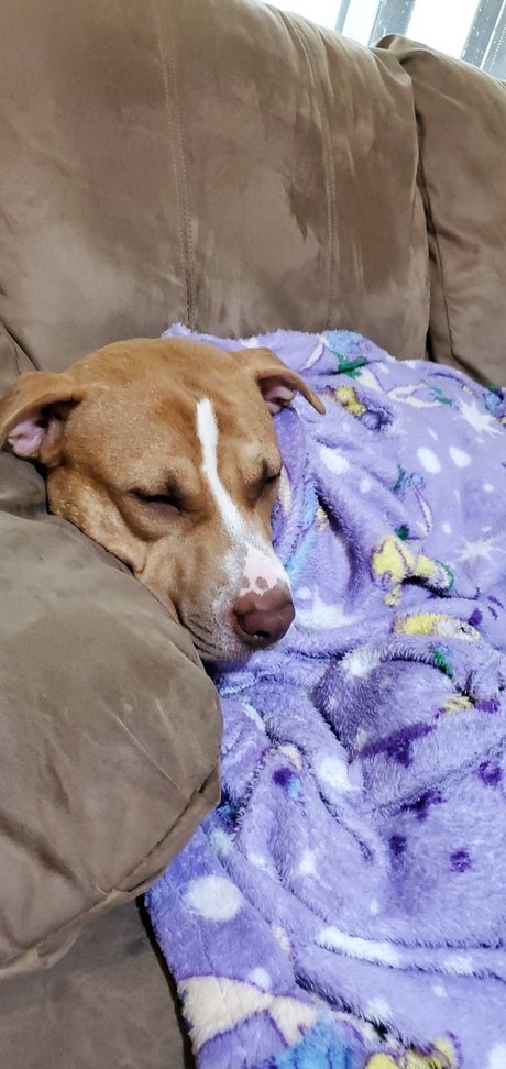 Cute Jess OnlyFans Nackt Leaks