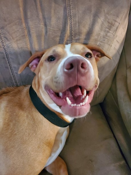 Cute Jess Nacktbilder geleakt