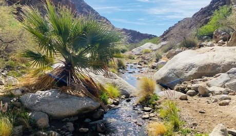 Oasis_ OnlyFans Nackt Leaks