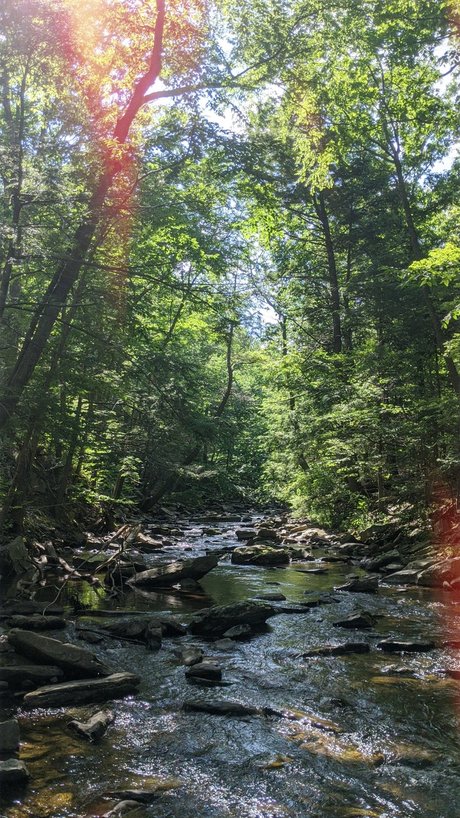 Wolf boy OnlyFans Leaks Nacktbilder