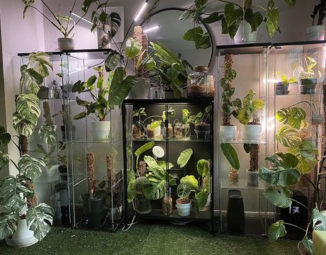 CrashXXX Leaks von Nacktbildern auf OnlyFans