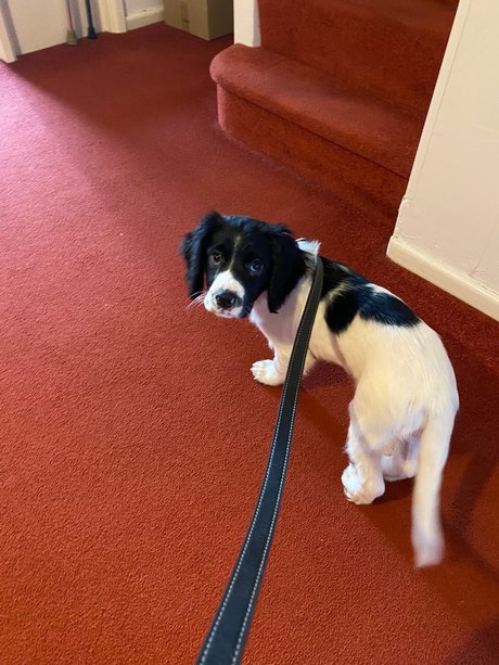 victoria preece Nacktbilder von OnlyFans geleakt