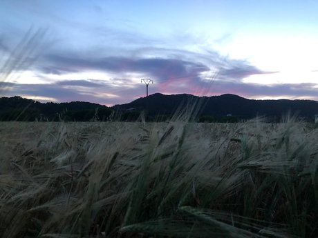 PrincessXX OnlyFans-Pornos