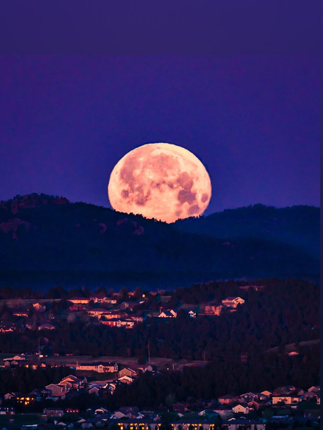 Cara Lynn_ Nur für Fans