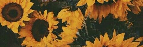 dear sydney XXX OnlyFans