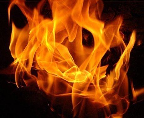 Camil Devine OnlyFans-Pornos