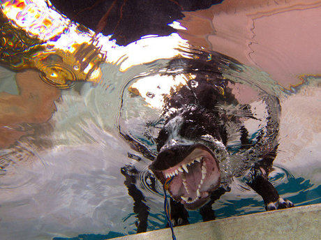 cuminside Nackt auf OnlyFans Leaks