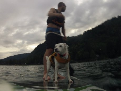 Auston O lapas OnlyFans Leak