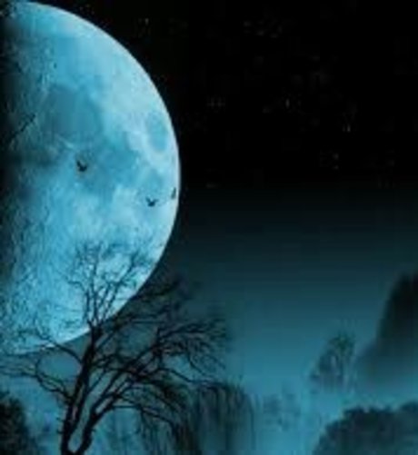 NightGod772 OnlyFans XXX