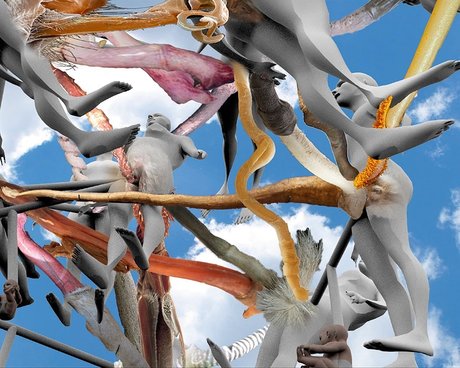 Noam Youngrak Son OnlyFans kostenlos