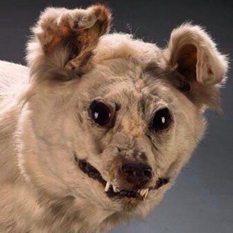 esc ort OnlyFans Nacktbilder geleakt