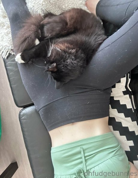 ofudgebunni XXX OnlyFans