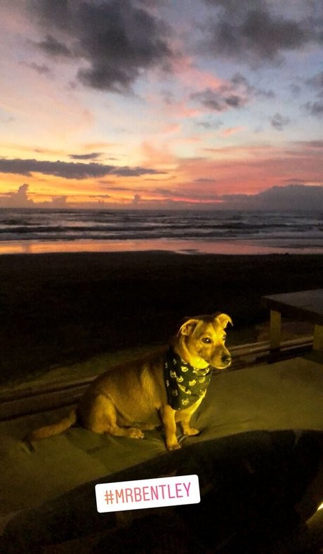 bexiewilliams Leak von OnlyFans-Inhalten