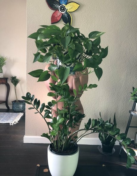 nastywoman3 OnlyFans