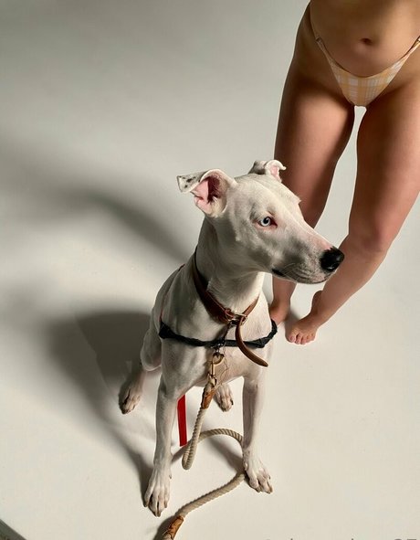 cherrydtv OnlyFans Bilder