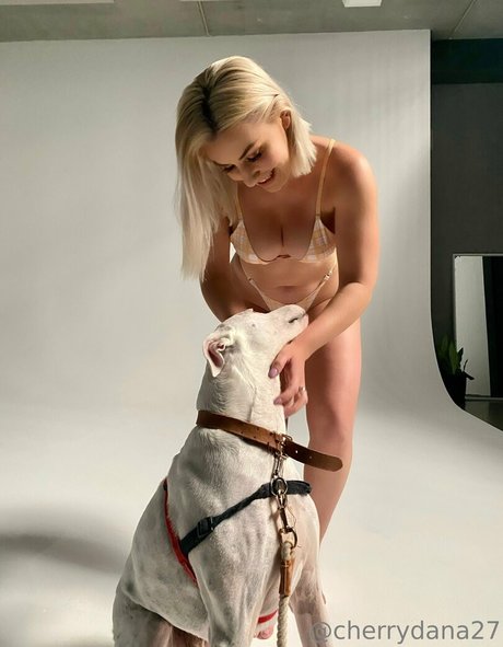 cherrydtv OnlyFans-Bild